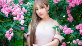 浙江卫视节的综艺节目[蓝光]