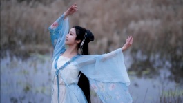 郑伊健电视剧全集股票[免费]
